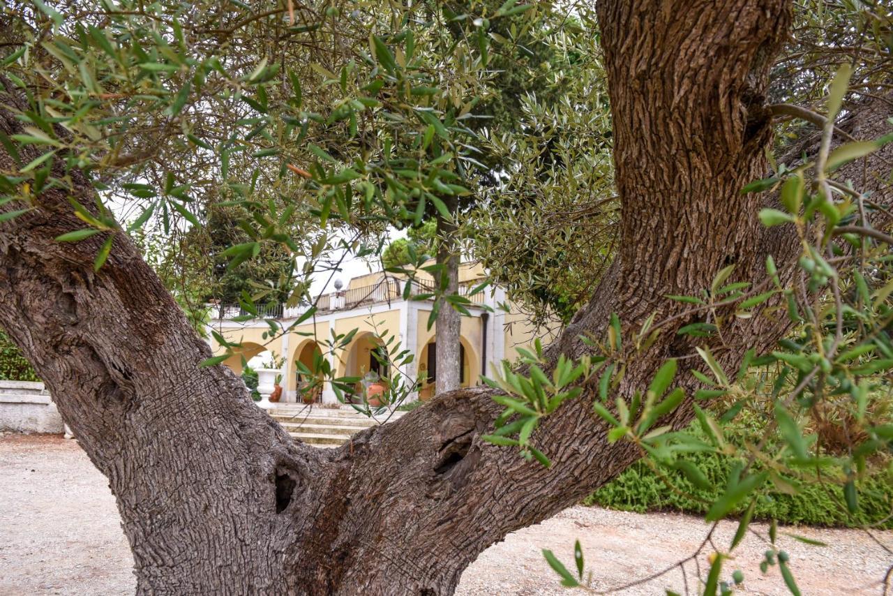 Villa Luciana Martina Franca Extérieur photo